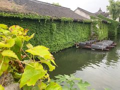 -鲁镇