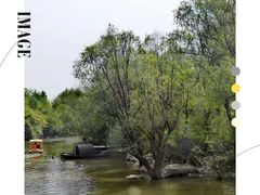 -上海吴淞炮台湾国家湿地公园