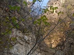 -北京上方山国家森林公园