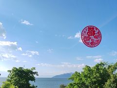 -野菌皇海景野生菌火锅(滨海大道店)