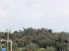 -野狸岛