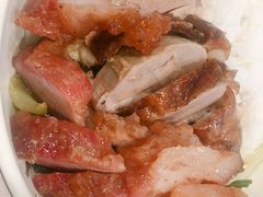 -辉旺烧鹅茶餐厅