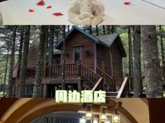 -洛阳白云山景区