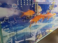 -TONG POWER游泳培训学校(西单山水宾馆校区)