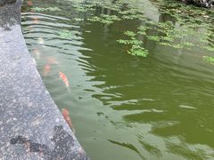 -金陵中学(河西分校)