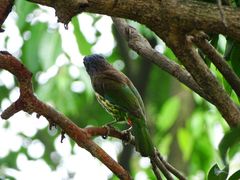 -华南国家植物园-售票处