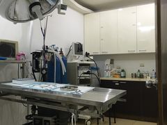 -顺强宠物诊所·狂犬免疫·夜诊·骨科(嘉定店)
