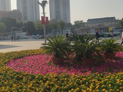-德州站