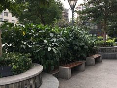 -广州中医药大学第一附属医院(总院)