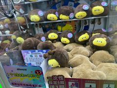 -反斗乐园π·电玩·高空拓展·蹦床(龙华天虹店)