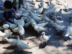 -上海体育博物馆
