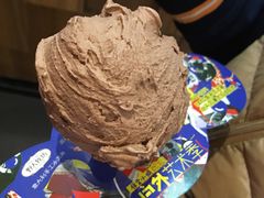 -野人先生现做冰淇淋(北京顺义祥云小镇店)
