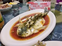 白水鱼-唔呶喔哩酒家(生产街店)