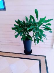 -安琪儿妇产医院·医养月子中心