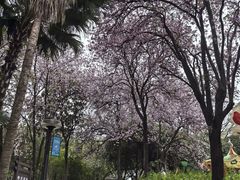 -柳侯公园