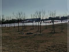 -绿野森林乐园冰雪季