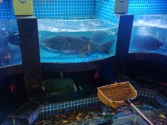 -千岛湖小鱼儿·淳安匠心农家菜