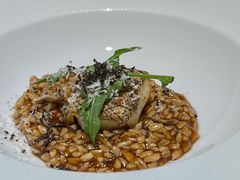 -ZHAO赵·牛扒坊(仁和新城店)