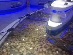 -澜悦港海鲜体验主题餐厅