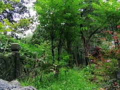 -杭州西湖风景名胜区-三生石