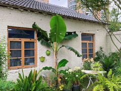 -Jo's Garden