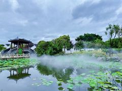 -厦门园林博览苑