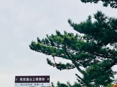 -天津盘山风景名胜区