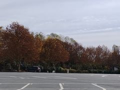 -江南天池