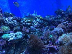 -成都浩海立方海洋公园