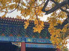 -北京国子监胡同
