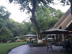 iphone_upload_pic-杭州花家山庄