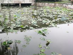 -绍兴鉴湖君澜大酒店