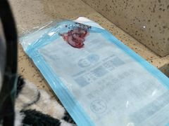 -伟伟宠物医院·CT影像中心·瑞派犬猫综合性门诊(汉口总院)