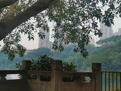 -重庆彩云湖湿地公园