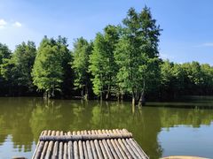 -尚湖风景区