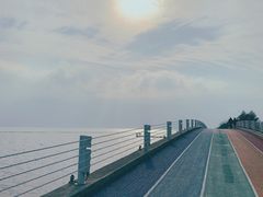 -贡湖湾湿地公园
