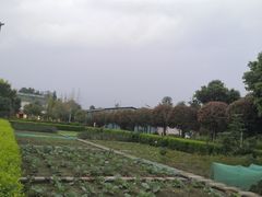 -洪湖家庭农场·团建·露营·会议