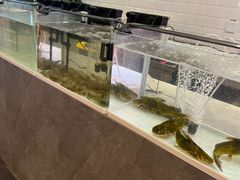 -巴邑火锅·鲜切牛肉(萧山银隆店)