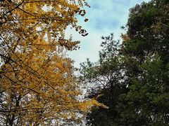 -岳麓山风景名胜区