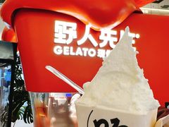 -野人先生现做冰淇淋(北京王府井东方新天地店)
