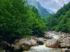 -青峰峡国家森林公园