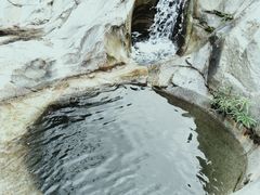 -海南霸王岭国家森林公园