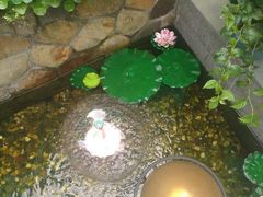 -外婆船宴餐厅·外婆喊你回家吃饭
