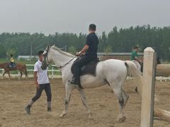 -月河湾马术俱乐部(朝阳店)
