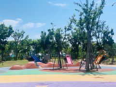 -春花秋色城市公园