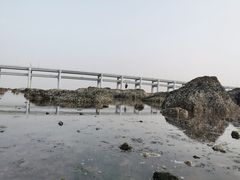 -黑石礁公园