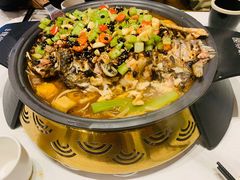 -锦尚阁烤鱼(望京新荟城店)