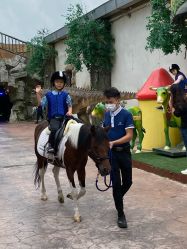 -宝燕乐园(闵行旗舰店)