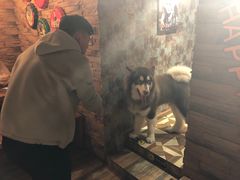 -玩坞轰趴馆·户外团建聚会主题生日派对馆(世豪广场店)
