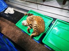 -官塘陈记鱼生·潮汕砂锅粥·牛肉火锅(潮枫路总店)